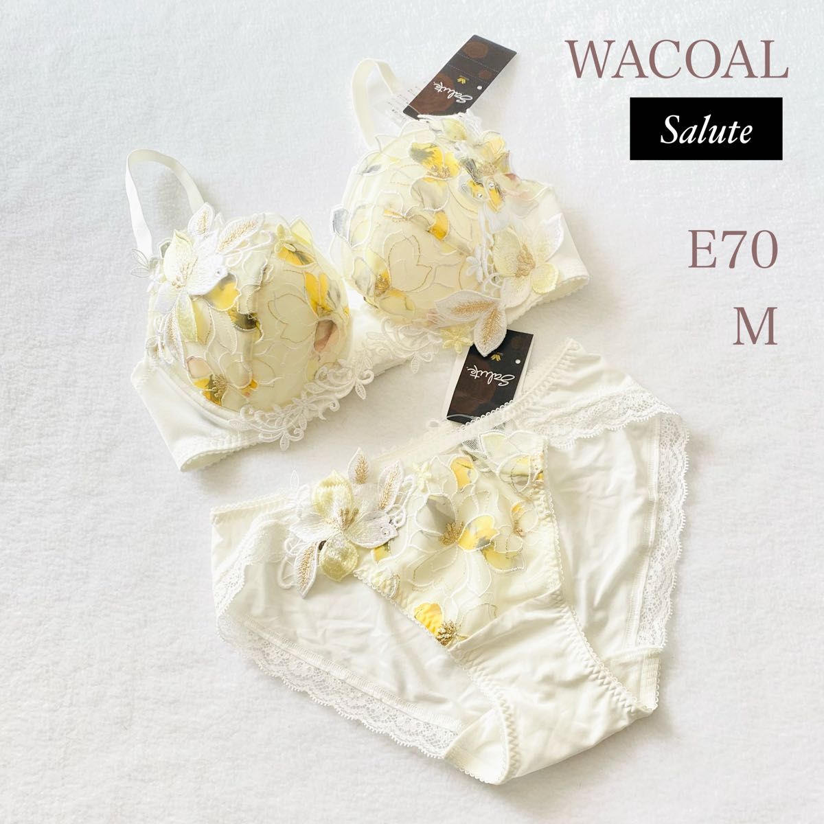 お値下げしております Wacoal ワコール Saluteサルートブラジャー