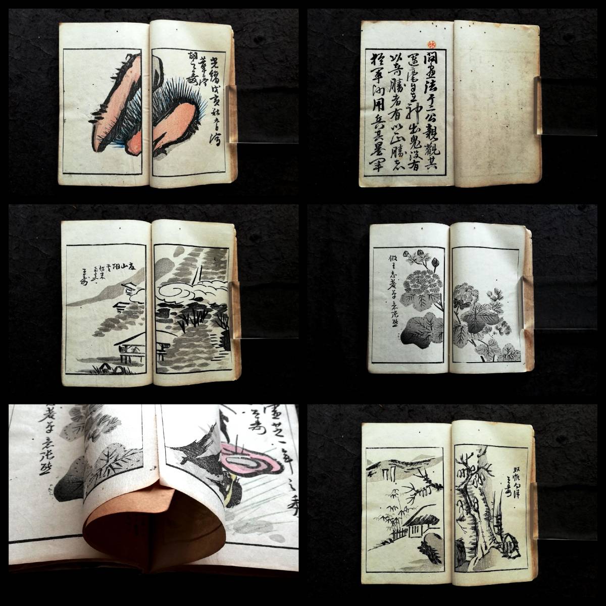 1894年 張子祥 胡公寿 画譜 海派 検索:清朝 木版刷 套色印刷 支那 1894年 張子祥 胡公寿 画譜 海派 検索:清朝 木版刷 套色印刷 支那