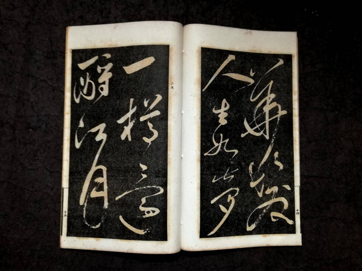 最も優遇の 羅振玉 原拓本 呉昌碩 王鐸 印存 金石篆刻 書法書 印譜 支那 検索:墓誌銘 書道法帖 草書 満江紅 蘇東坡 1930年 蘇軾 玻璃版 珂羅版 趙子昴 和書