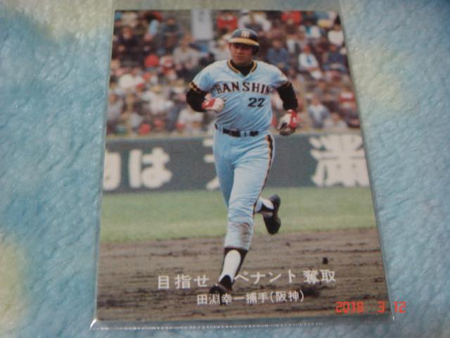 カルビー '77年 プロ野球カード 『目指せ！ペナント奪取』NO.76(田淵／阪神) 青版_画像1