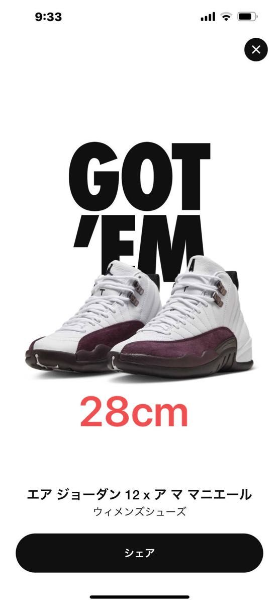 NIKE アママニエール×エアジョーダン12 | www.mclegal.info