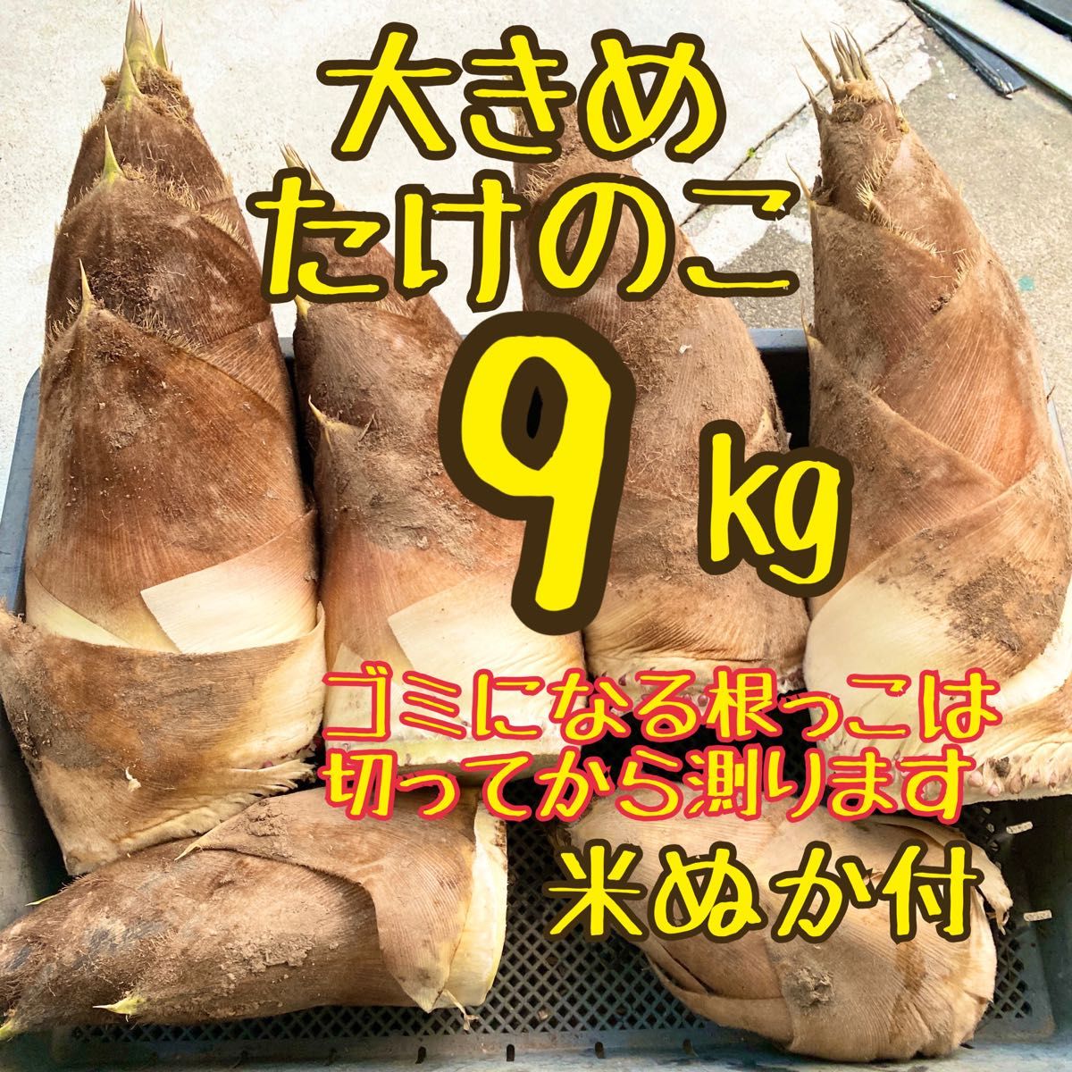 たけのこ 5キロ 筍 三重県産 糠つき - 野菜