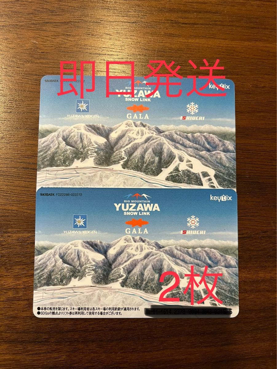 GALA湯沢スキー場 ICカードリフト券 １枚 - スキー場