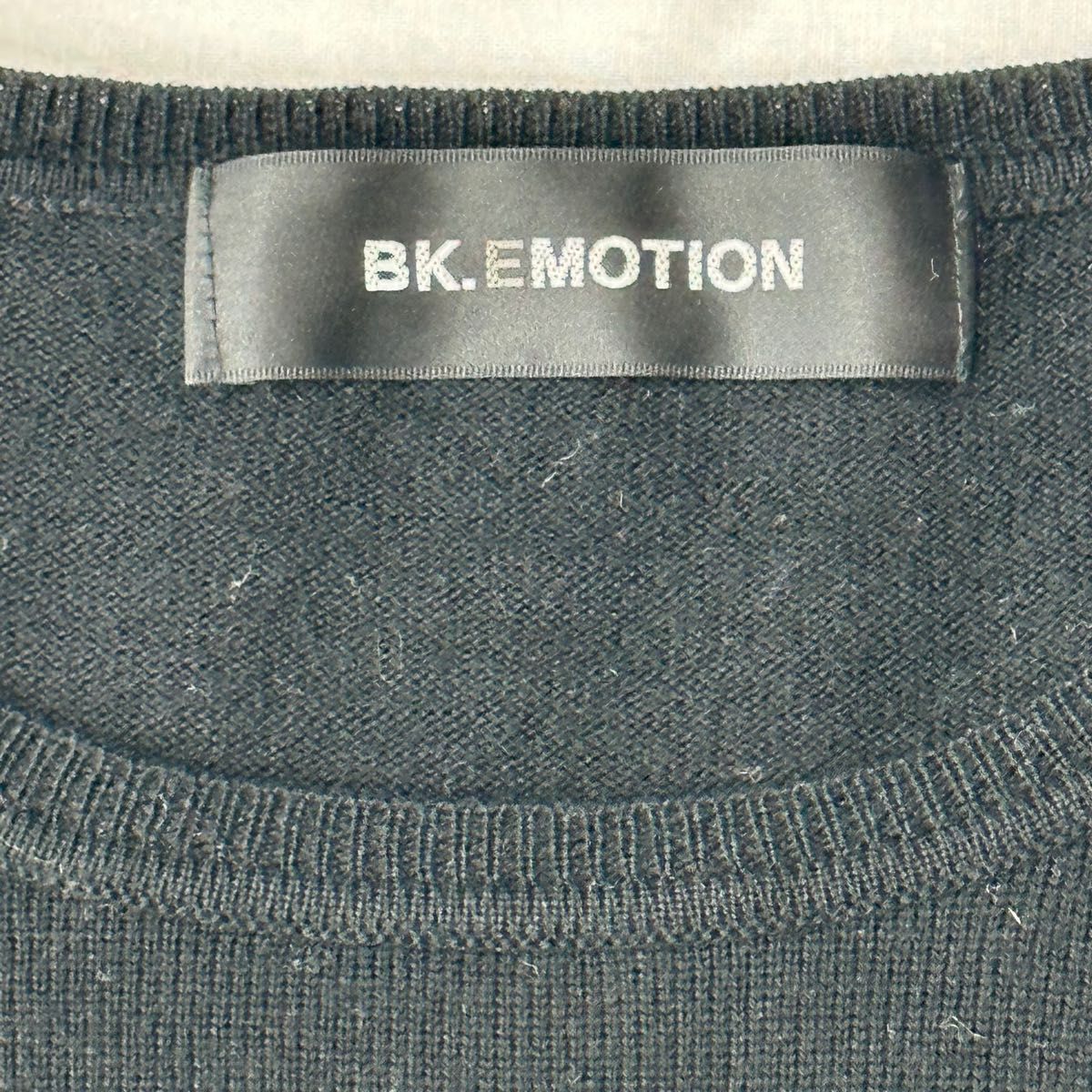 BK.EMOTION  レディース　イタリア糸使用　ニット　Ｔシャツ　２号　 半袖ニット