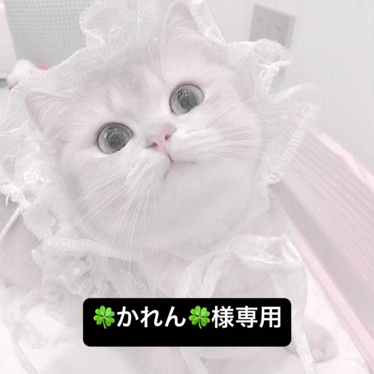 専用ページになります|Yahoo!フリマ(旧PayPayフリマ)