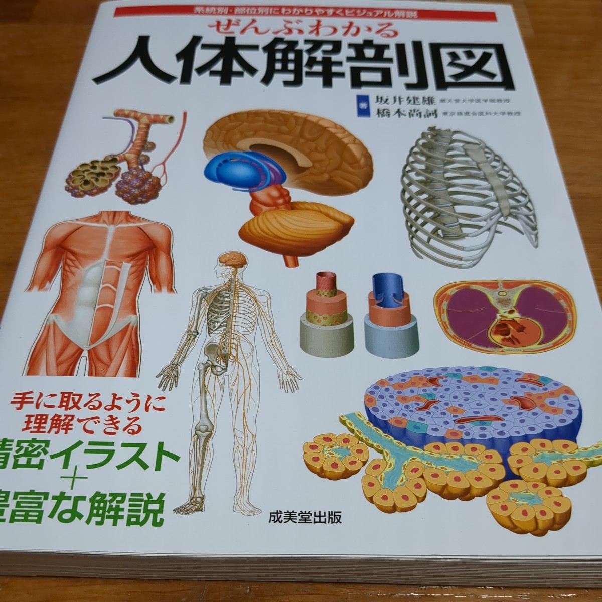 ぜんぶわかる人体解剖図　ビジュアル図解による人体解剖図の決定版