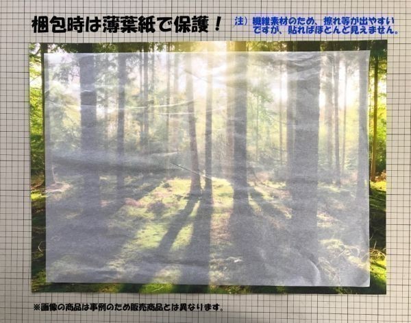 山陽・東海道新幹線 500系 第4世代 1997年運用開始 のぞみ 絵画風 壁紙ポスター ワイド版603×376mm（はがせるシール式）014W2_画像7
