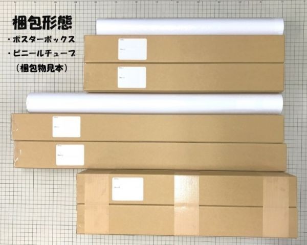 山陽・東海道新幹線 500系 第4世代 1997年運用開始 のぞみ 絵画風 壁紙ポスター ワイド版603×376mm（はがせるシール式）014W2_画像8