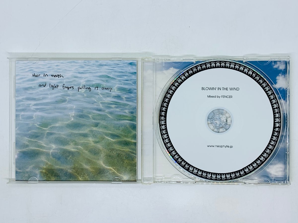 即決CD Blowin' in the wind / Mixed by FENCER / R06_画像3