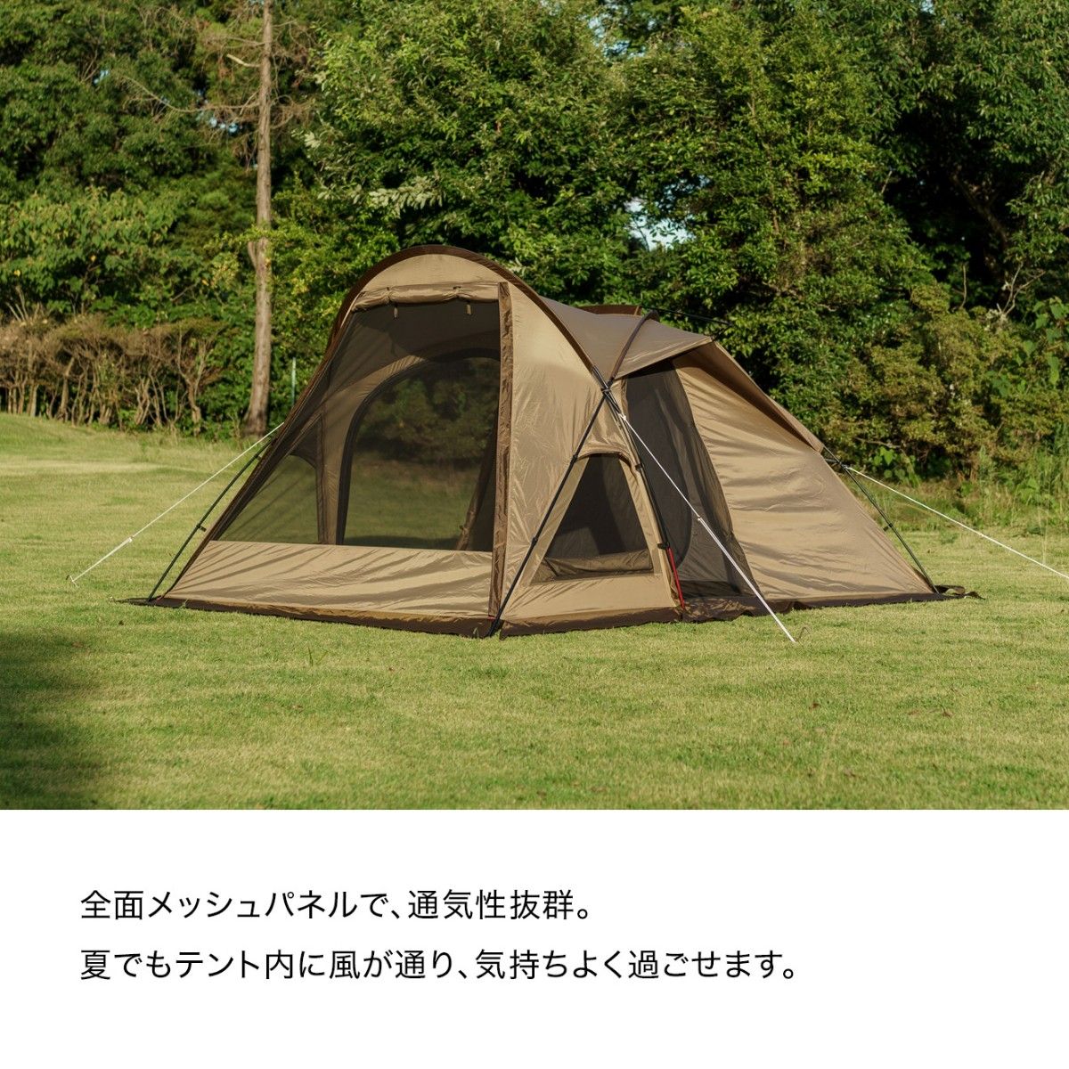 オガワ テント ヴィガス2 ogawa 2〜3人用2653 ヴィガス 2 アウトドア