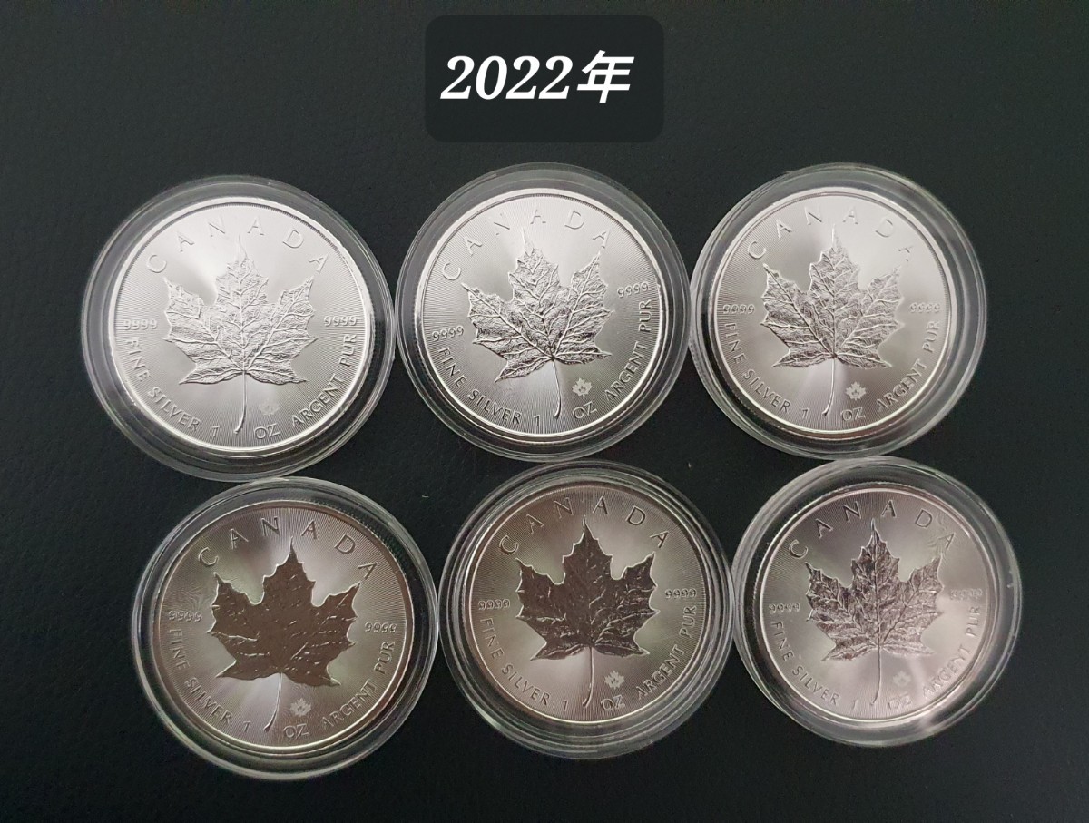 6枚 2022年 カナダ メイプルリーフ １オンス9999純銀 5ドル銀貨