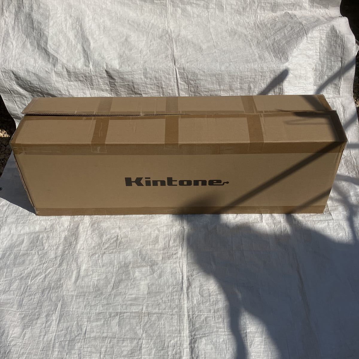 新品 電動キックボード Kintone α GO キントーン アルファゴー o020