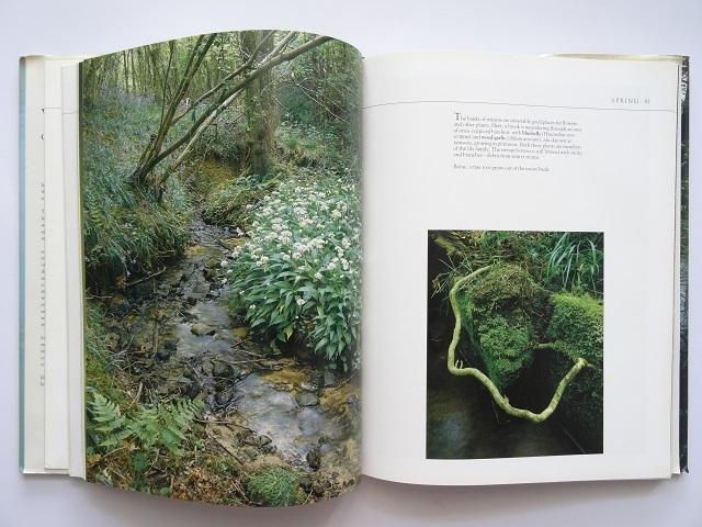 洋書◆水辺の動物と植物写真集 本 川 湖 風景 景色_画像3