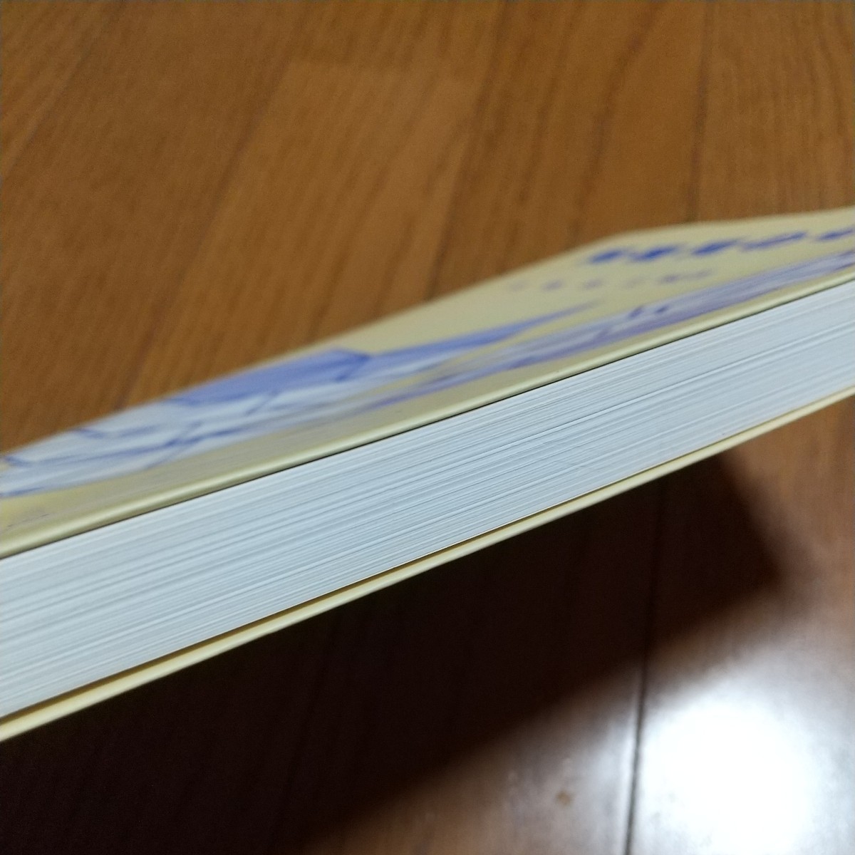 障害児の心理 佐藤泰正 学芸図書 2008年第5刷 中古 心理学 教育 03511F015 - 心理学 障害児の心理 佐藤泰正 学芸図書 2008年第5刷 中古 心理学 教育 03511F015 - 心理学
