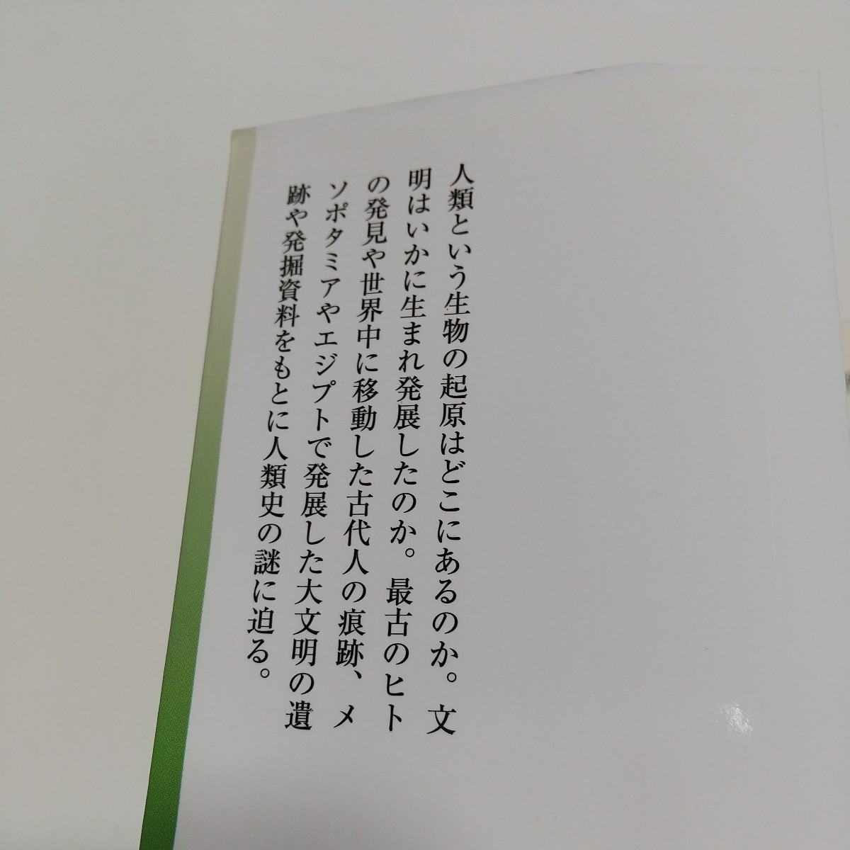 世界の歴史1 人類の起源と古代オリエント 中公文庫 2009年初版 中古 歴史 世界史 教養