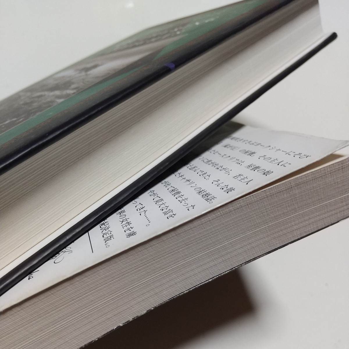 洋書&和書2冊セット 嵐が丘 新潮文庫 エミリー・ブロンテ 鴻巣 洋書&和書2冊セット 嵐が丘 新潮文庫 エミリー・ブロンテ 鴻巣