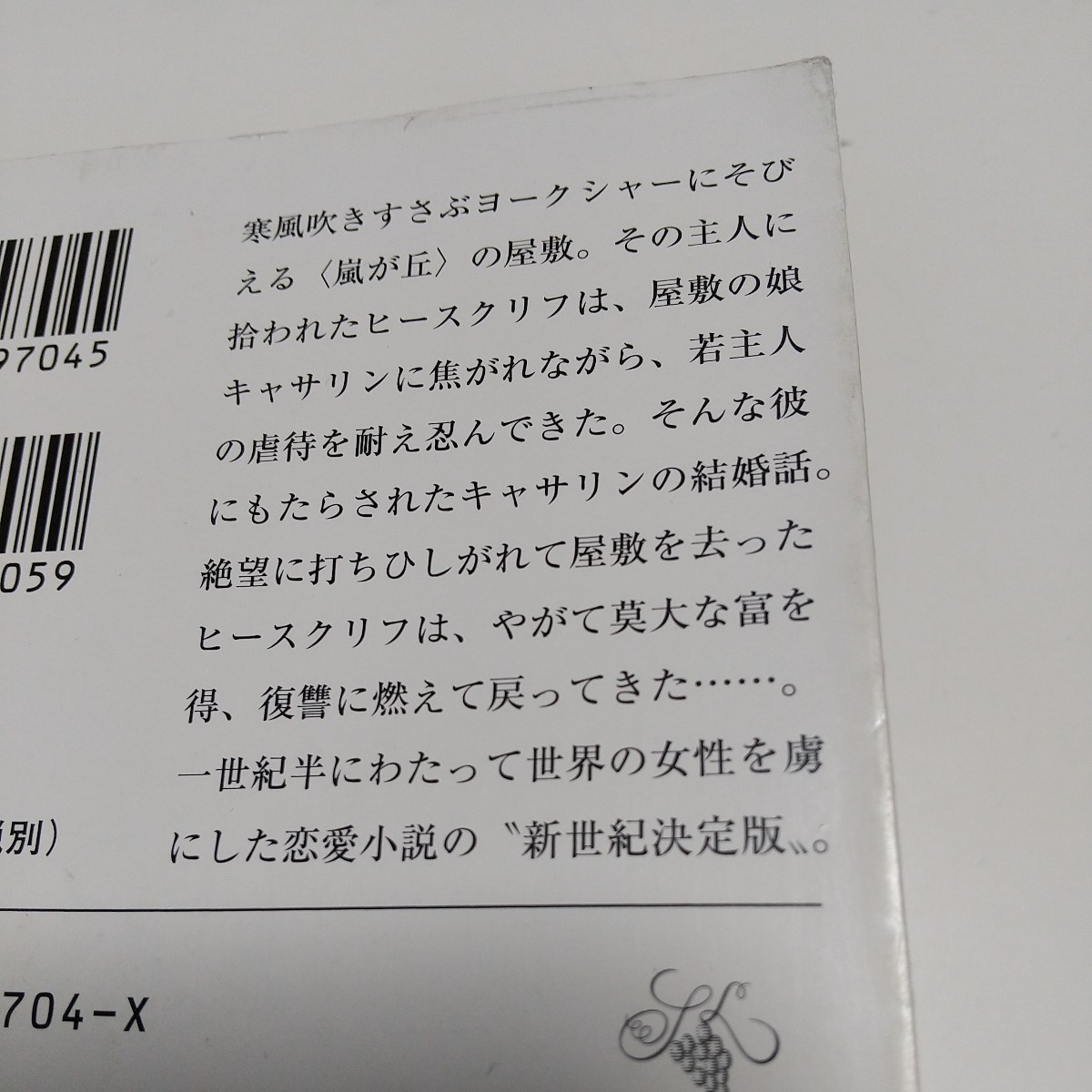 洋書&和書2冊セット 嵐が丘 新潮文庫 エミリー・ブロンテ 鴻巣 洋書&和書2冊セット 嵐が丘 新潮文庫 エミリー・ブロンテ 鴻巣