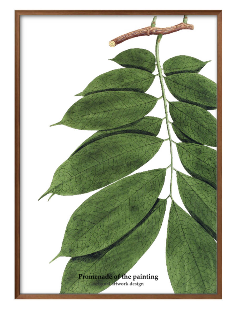 1-7717■送料無料!!アートポスター　絵画　A3サイズ『ボタニカル　観葉植物』イラスト　デザイン　北欧　マット紙_画像1
