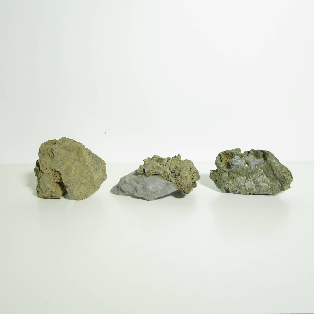 [ бонсай сопутствующие товары * камень ][. дерево камень 3 шт. комплект! ]SI-1/ установка камень . камень оценка камень / бонсай .... бонсай луговые и горные травы надеты сырой Ran koke террариум .!