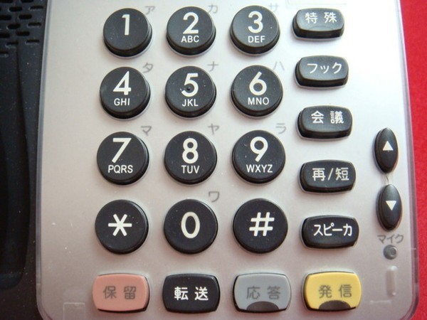 DTR-16D-1D(BK)(16 button kana standard telephone machine ( black ))