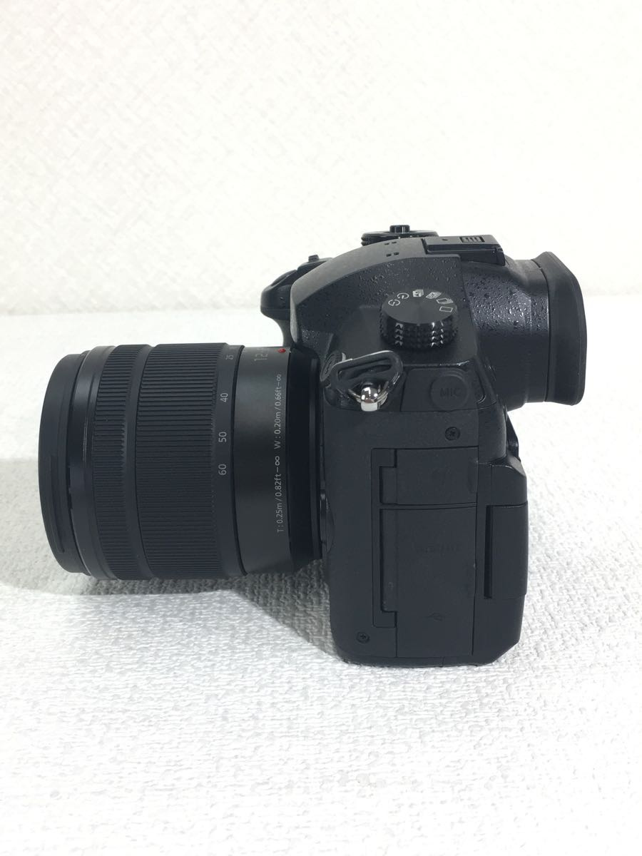 開店祝い Panasonic◇デジタル一眼カメラ LUMIX DC-GH5 標準ズーム