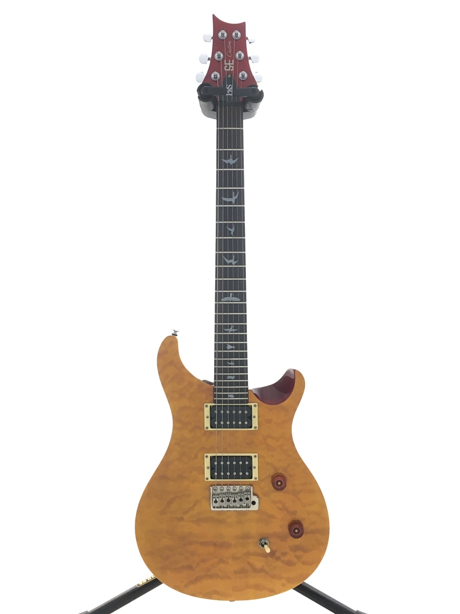 PRS(Paul Reed Smith)◇SE Custom24/OR/2010/フラットトップ/バード