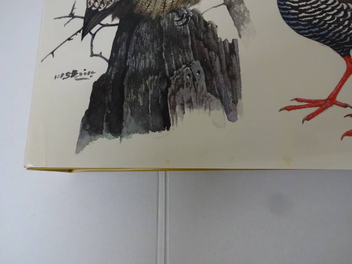 【アンティーク/切手】特殊鳥類シリーズ 初日カバー FDC.MCコレクション 未使用切手約3000円含む 中古 / 秘蔵品 年代物 レア 昭和の画像7