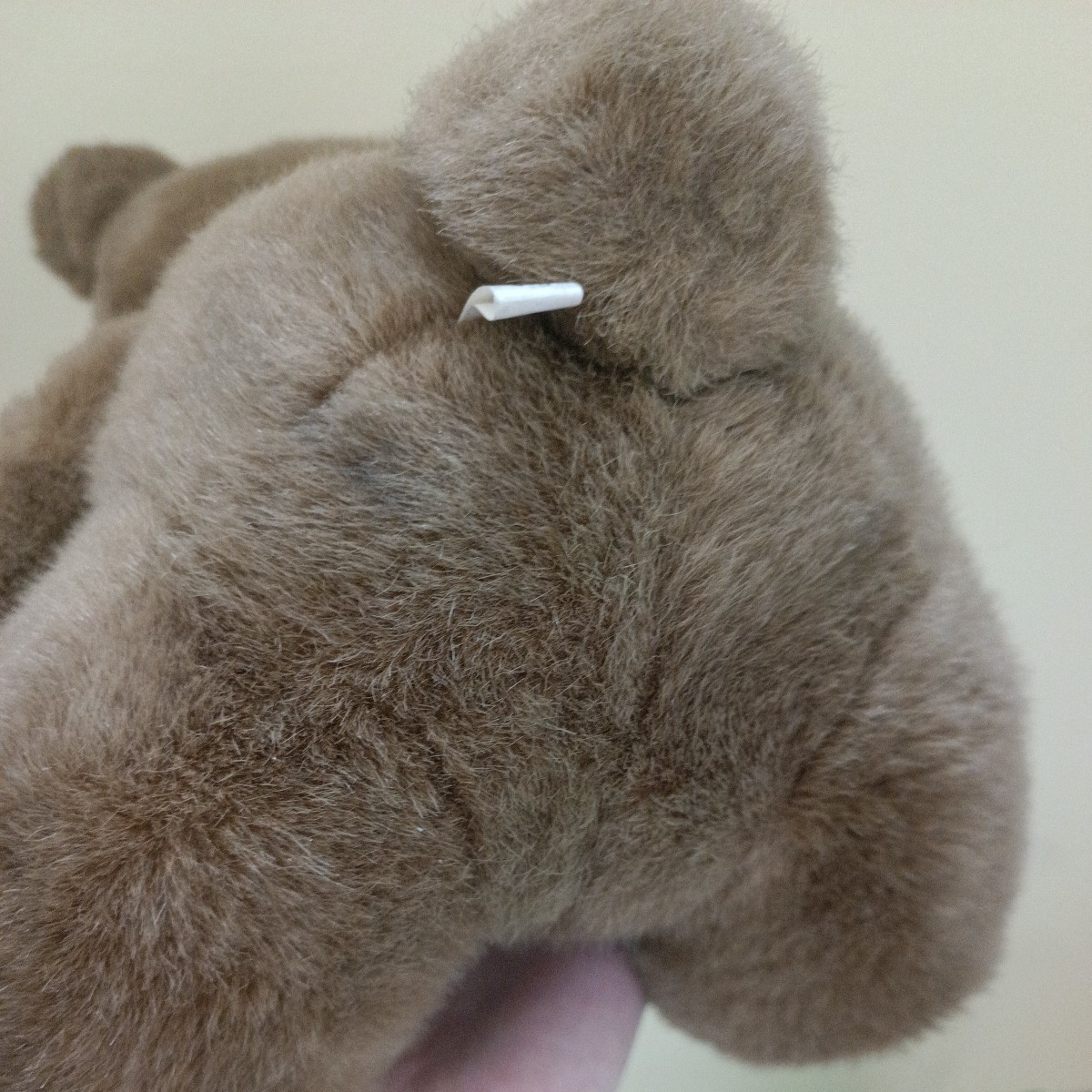 Mr Bear's dream ミスターベアーズドリーム ぬいぐるみ サンリオ Mr Bear's dream ミスターベアーズドリーム ぬいぐるみ サンリオ