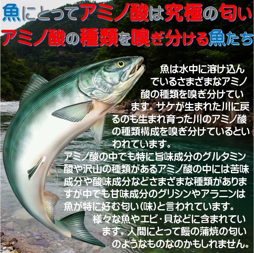 集魚剤 つけエサ用 アミノ酸 アラニン パウダー 30g ２個組 冷凍 オキアミ 冷凍イワシ エサ 海上釣堀 エサ アミエビ 釣りエサ 釣り餌_画像5