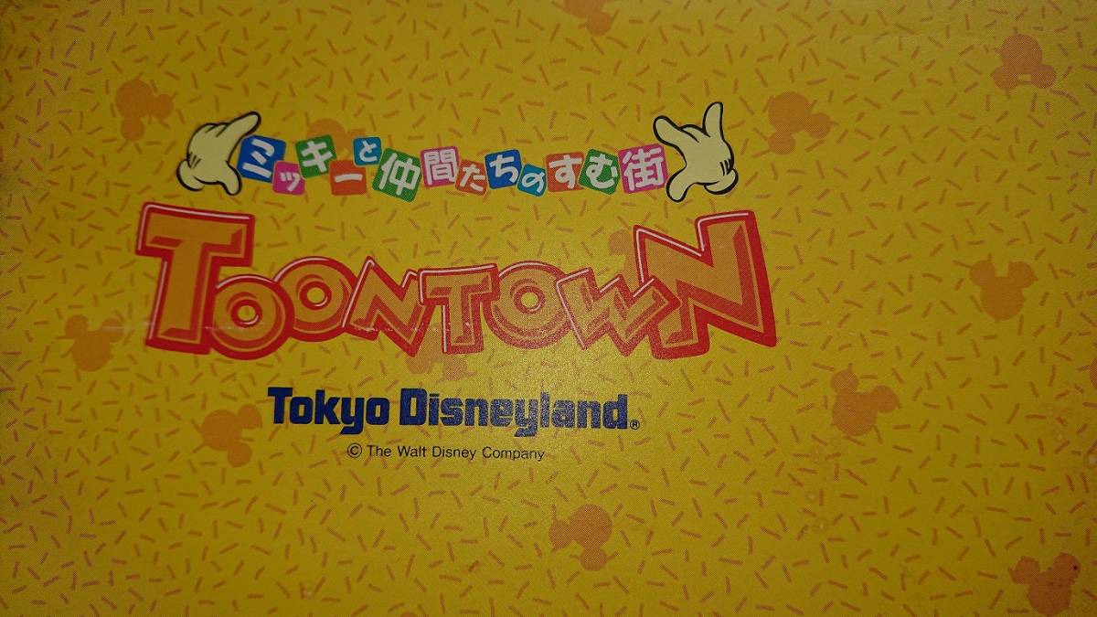 未使用】トゥーンタウン オープン記念 パスポート チケット 東京