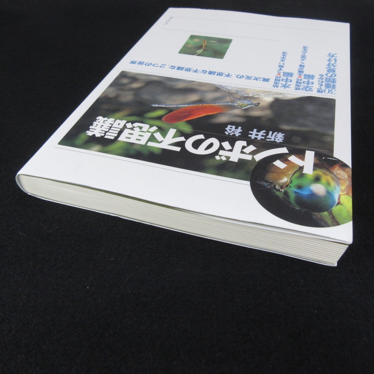 本 『トンボの不思議』 ■送120円 新井裕 どうぶつ社 トンボの不思議な生態 30種類の見分け方　昆虫学○_画像5