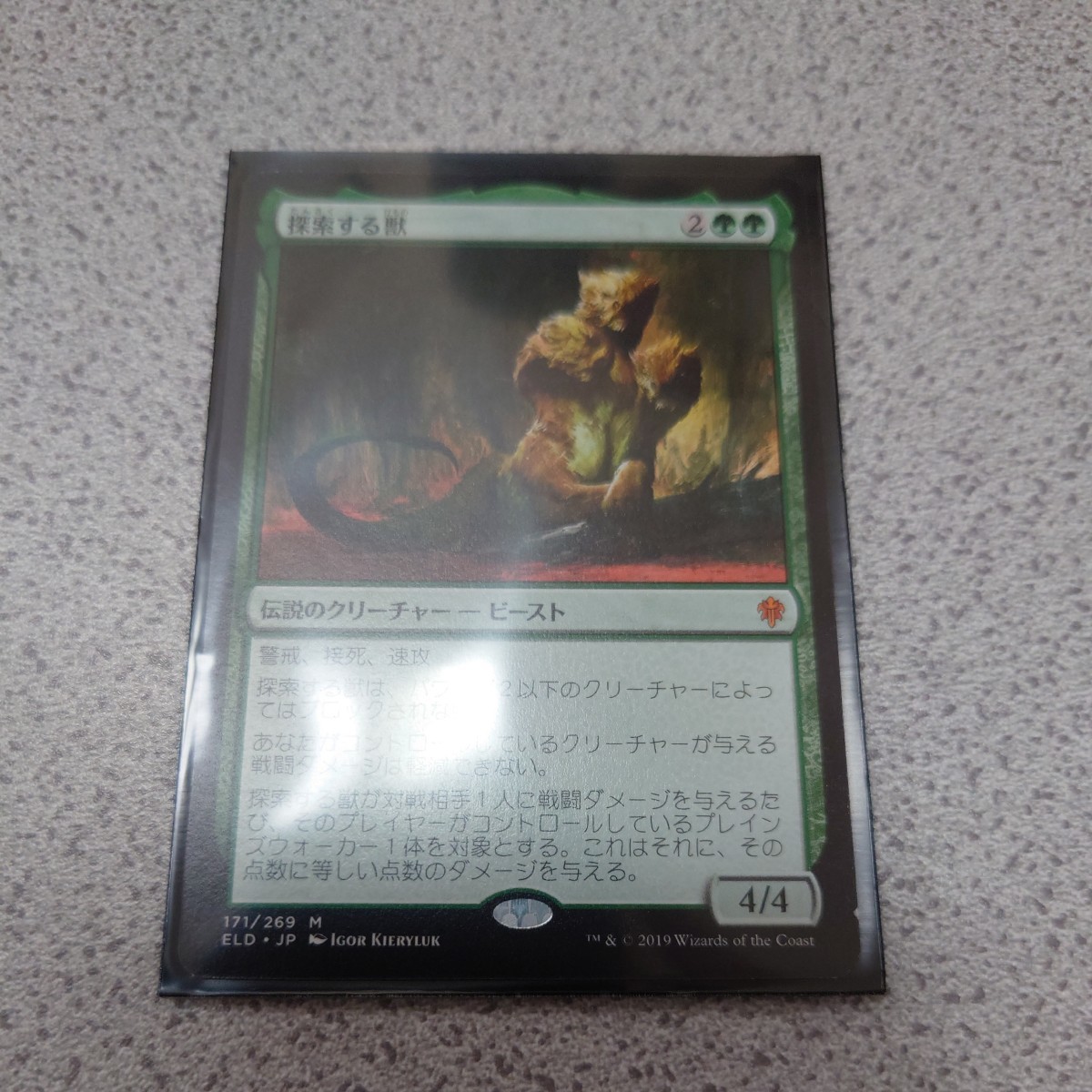 MTG ELD 探索する獣 日本語 一枚 即決_画像1