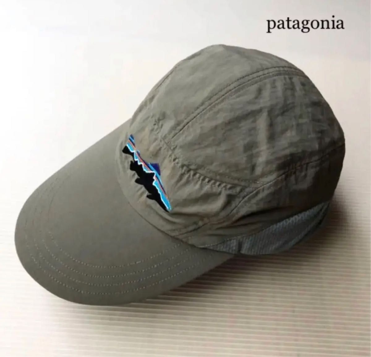 Patagonia trout poin Longbill Cap☆美品 | kingswayflats.co.uk