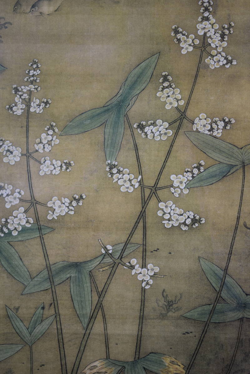 複製/繆輔/魚藻図/鯉/川魚/鮒画賛/工芸/布袋屋掛軸HJ-995 複製】//繆輔/魚藻図/鯉/川魚/鮒画賛/工芸/布袋屋掛軸HJ-995