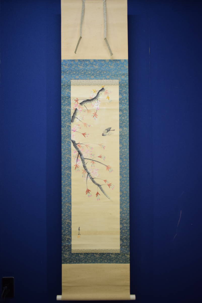 不詳/作者不詳/桜花雀図/布袋屋掛軸HK-12 不詳】//作者不詳/桜花雀図/布袋屋掛軸HK-12 :: Yahoo!Auction