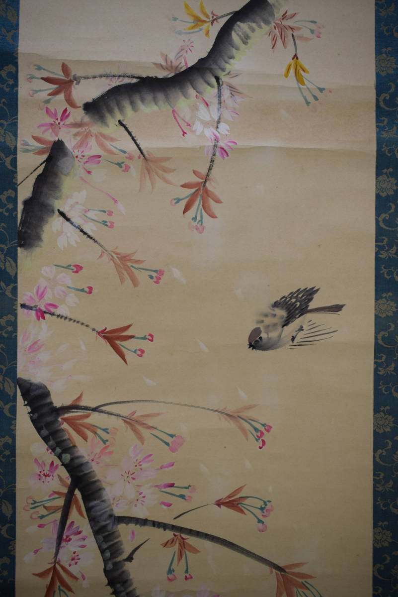 不詳/作者不詳/桜花雀図/布袋屋掛軸HK-12 不詳】//作者不詳/桜花雀図/布袋屋掛軸HK-12 :: Yahoo!Auction