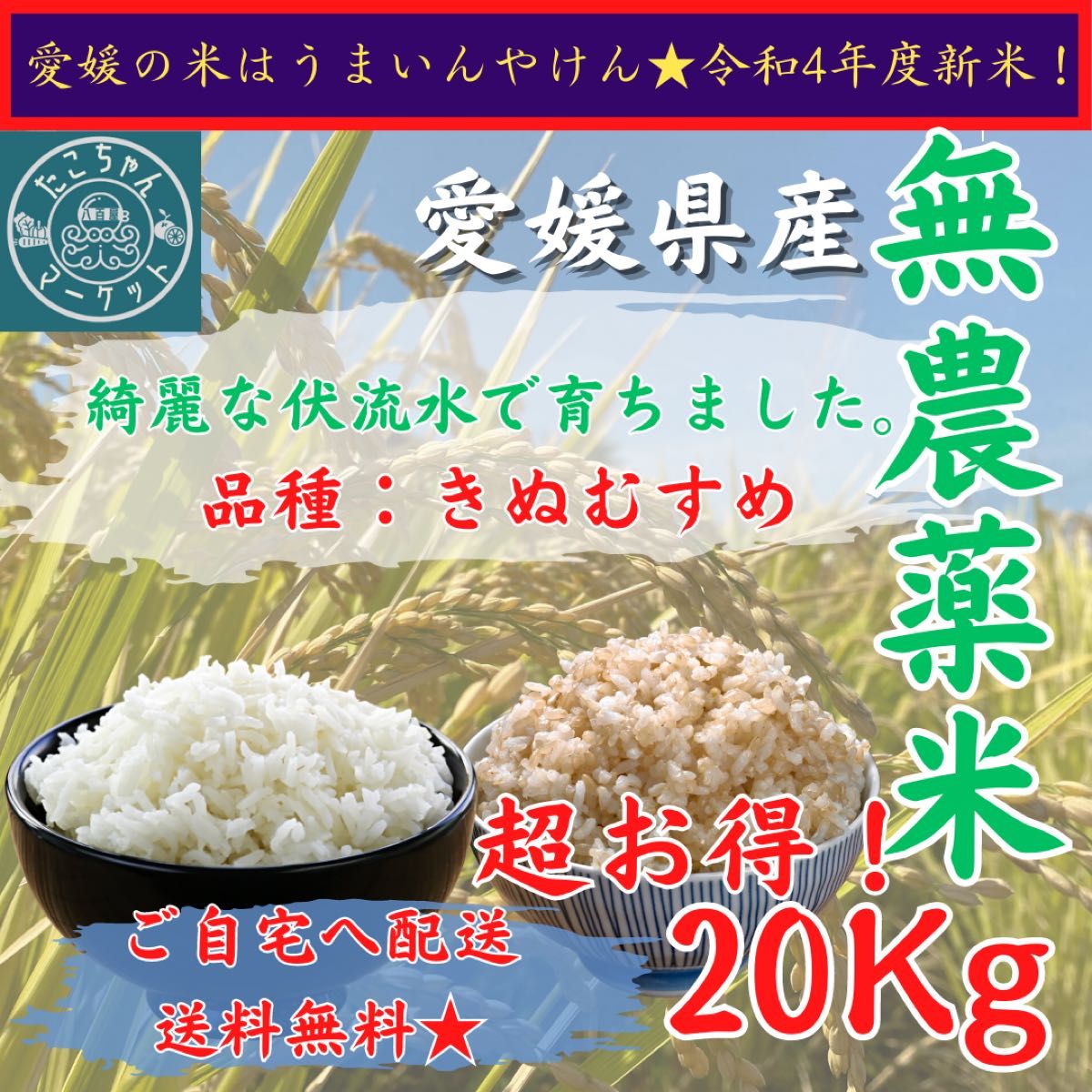 令和4年度　きぬむすめ　10Kg  白米