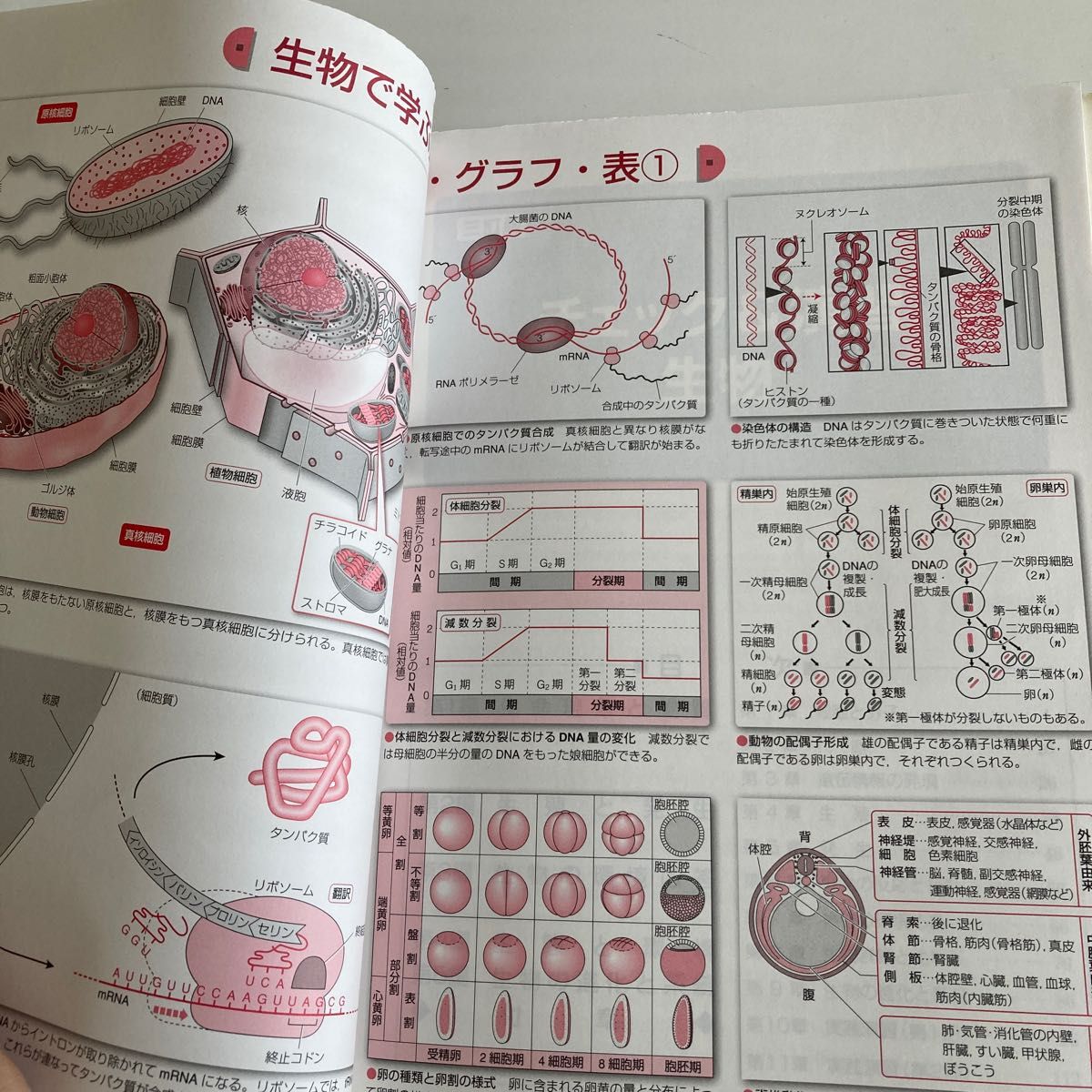 【未使用品】三訂版 大学入試センター試験対策 チェック＆演習 生物/数研出版/数研出版編集部 (単行本)