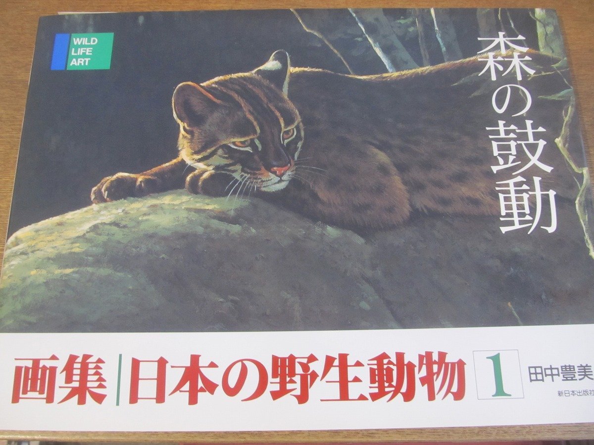 2304MK●「画集 日本の野生動物 全3巻」田中豊美/新日本出版社/1990.3●本文絵(抜刷)5枚つき_画像2