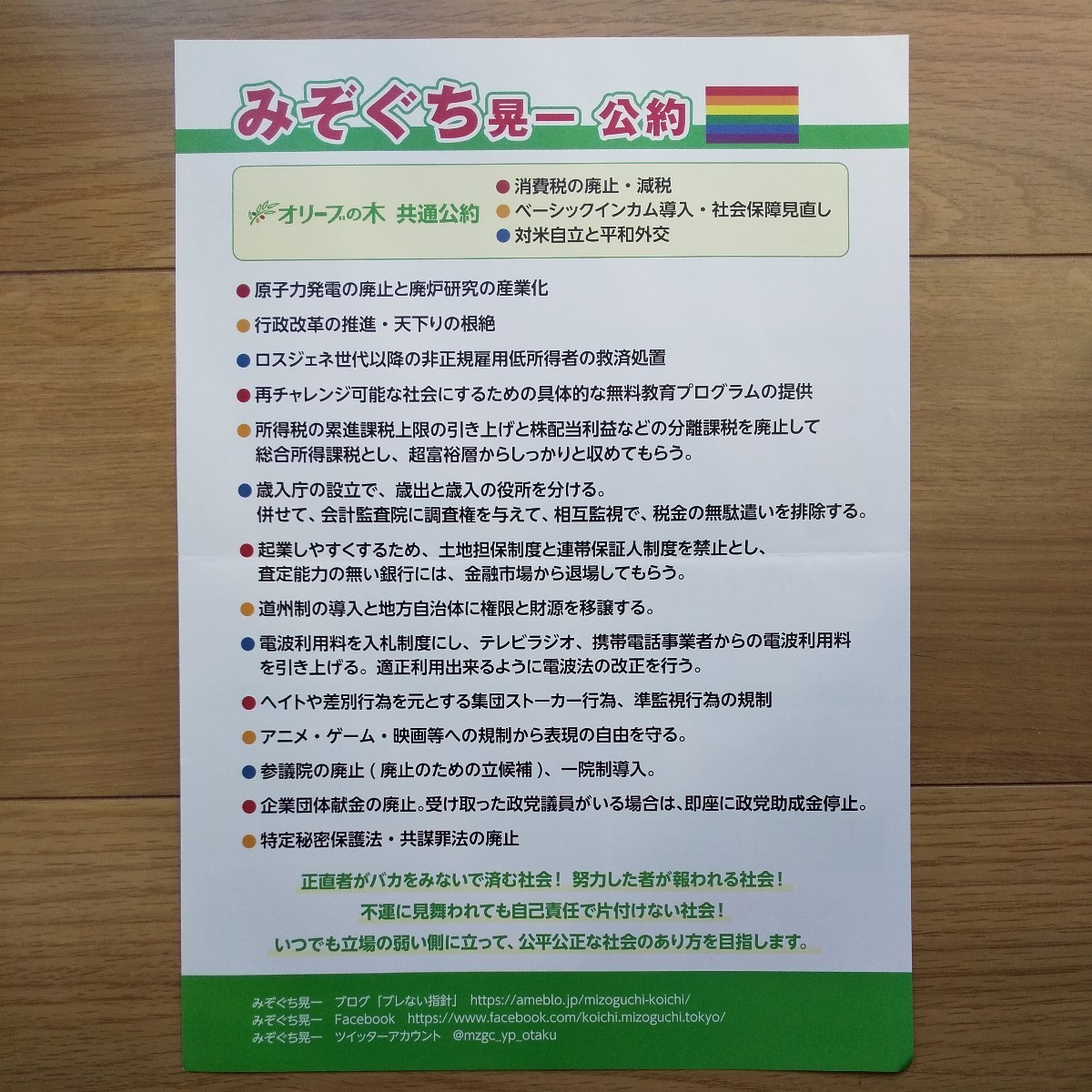 ☆ 令和元年 参議院議員選挙 オリーブの木 みぞぐち晃一 チラシ ☆_画像2