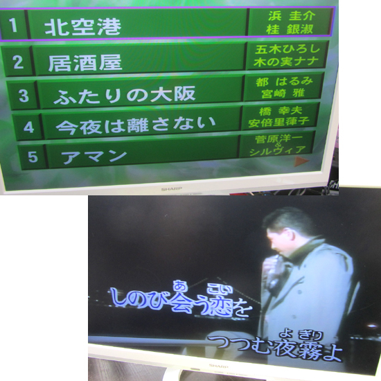 DVD karaoke system DVD-K100 Mike &DVD8 sheets attaching [ with translation ] futoshi . holding s Sapporo city 