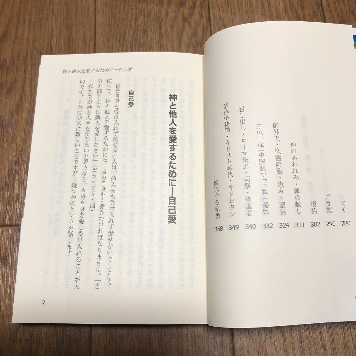 光と希望　カトリックの教え解説 （聖母文庫） Ｒ．カンガス キリスト教 家庭 社会 倫理 送料無料