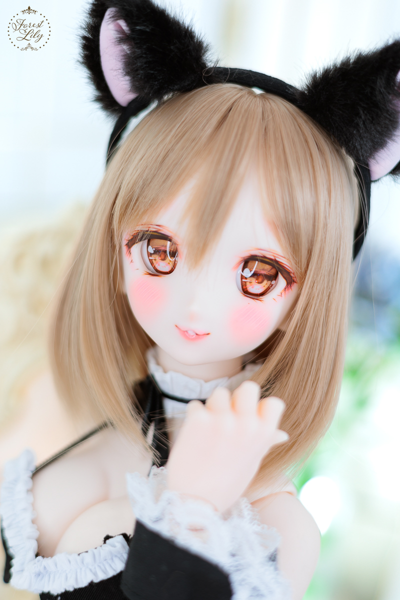 DDH-06 SW肌 パテ盛り カスタムヘッド +アイ1種 ボークス DD