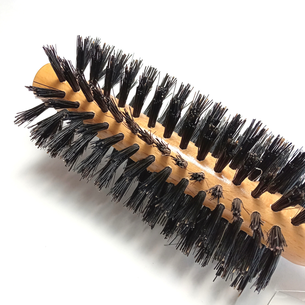 [keb1] new goods KENT kent lady's hair brush LBR1 roll brush Britain .. purveyor styling / blow / dry top class pig wool natural tree Sakura 