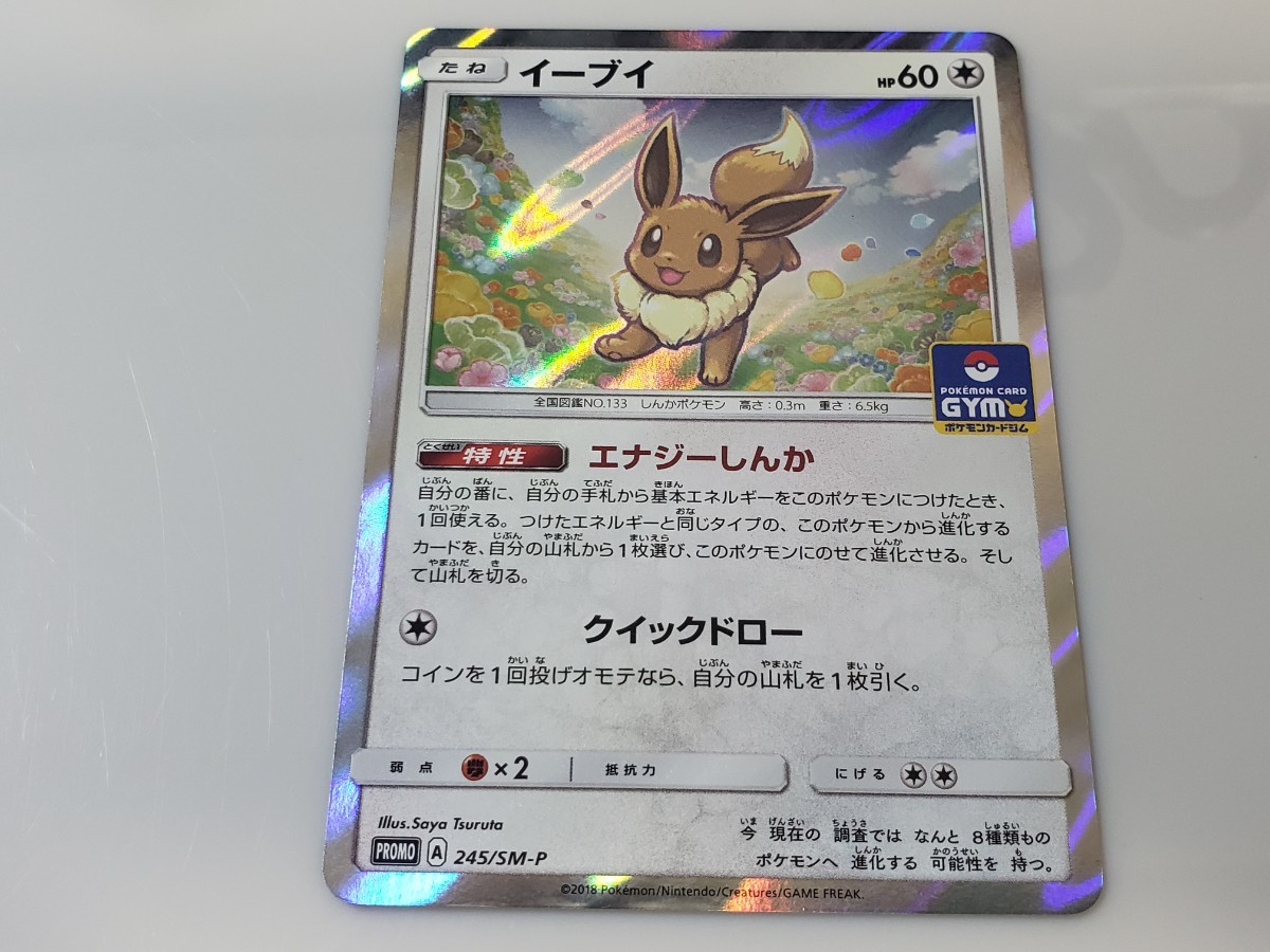 PSA10鑑定済】イーブイGX(SA)《-》{188/173}[-] - シンソク