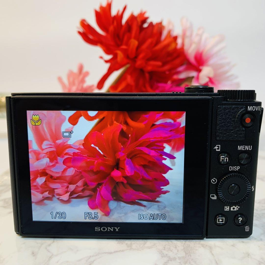 美品 Wi-Fi内蔵】SONY Cyber−Shot DSC-WX500 ソニー サイバーショット