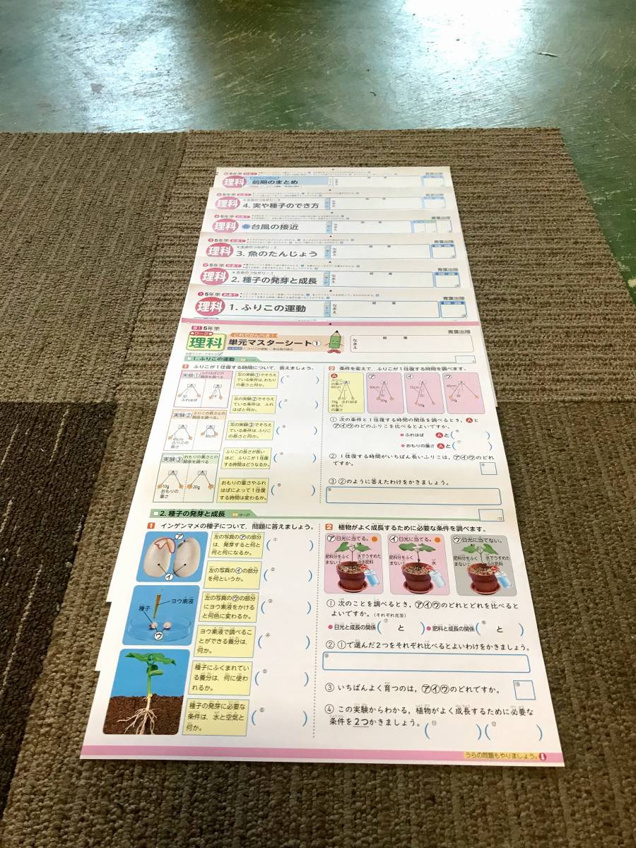 【未使用品 セット販売品】★☆小学5年生 カラーテストプリント集 (国・算・社・理・家・保 計:51枚) 家庭学習用☆★解答無し 現状渡し_理科