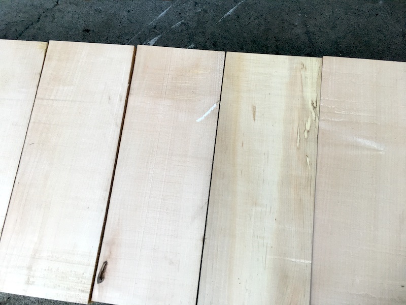  maple ( maple ) board No.20230402kae