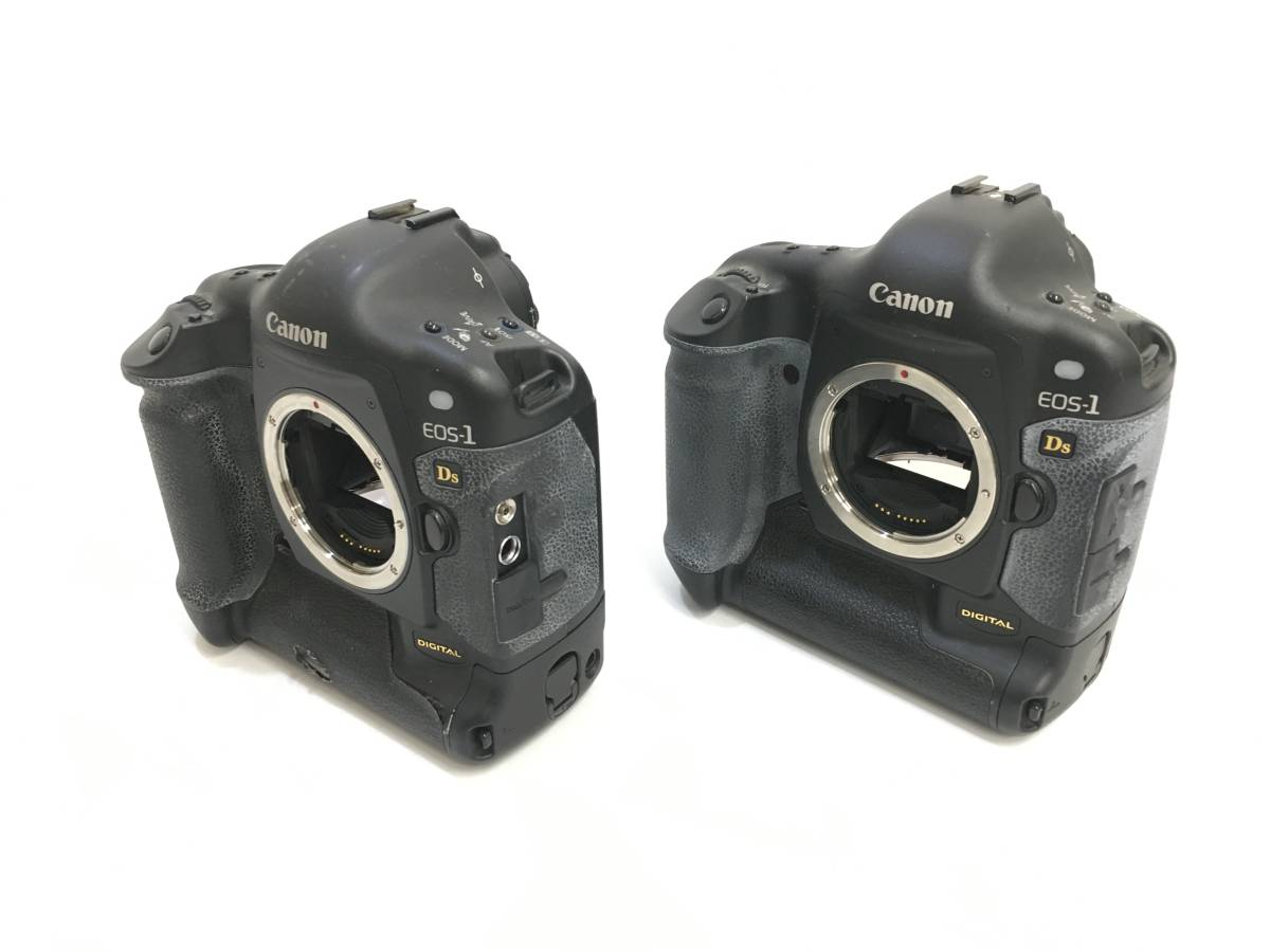 Canon EOS-1 DS ×2 + ZOOM LENS EF 35-135mm 1:4-5.6 +75-300mm 1:4-5.6 + 100-300mm 1:4.5-5.6 キャノン デジタル一眼レフカメラ_画像2