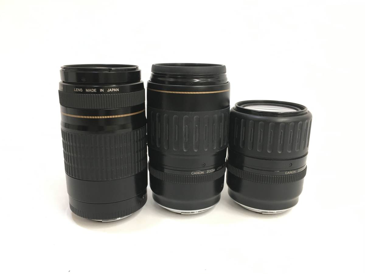 Canon EOS-1 DS ×2 + ZOOM LENS EF 35-135mm 1:4-5.6 +75-300mm 1:4-5.6 + 100-300mm 1:4.5-5.6 キャノン デジタル一眼レフカメラ_画像9